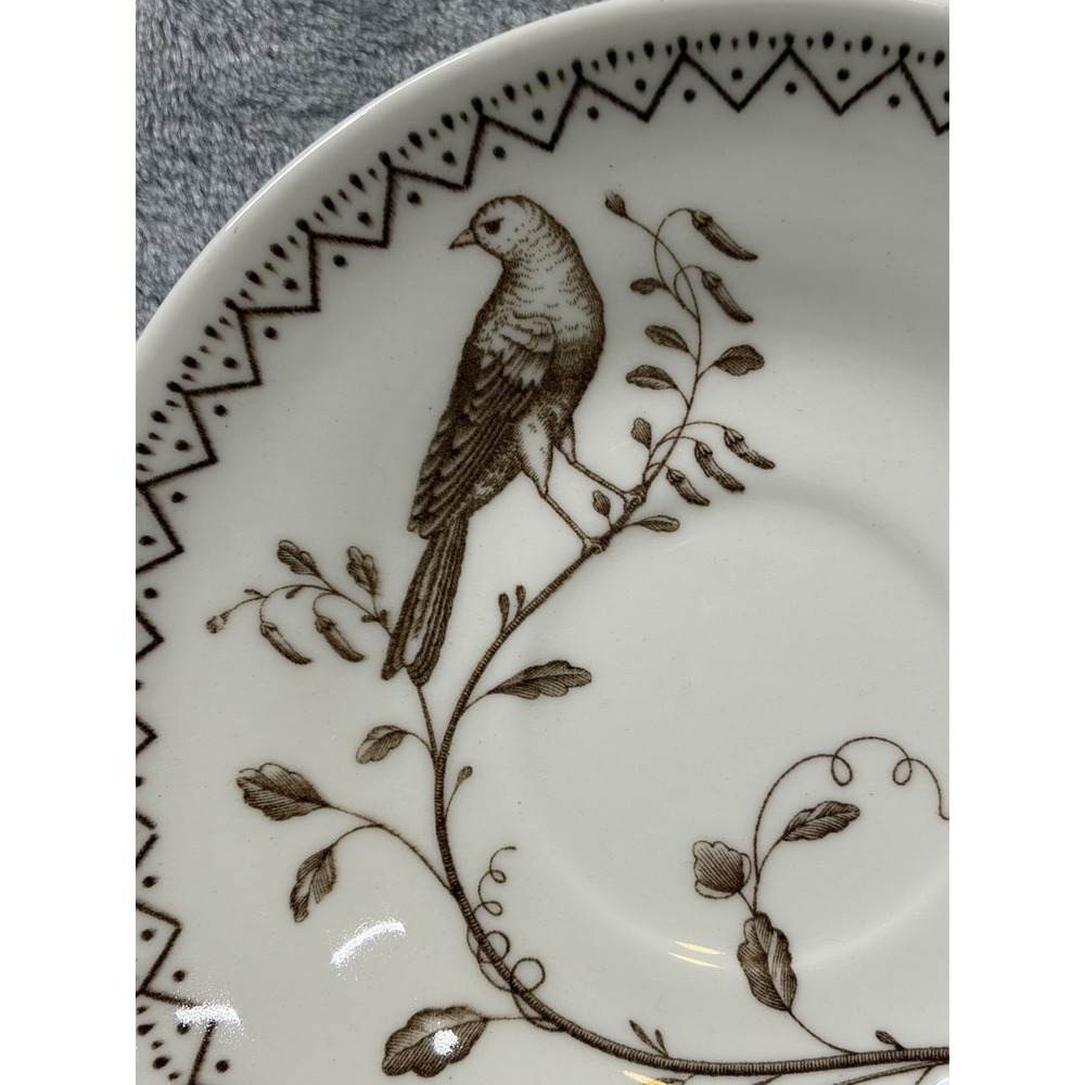 Wedgwood Williamsburg Aviary‎ Teacup Saucer Set Ivory Brown Birds England - Picture 5 of 14
